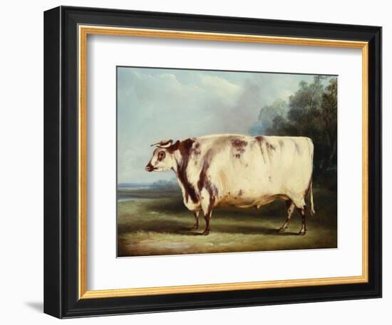 A Prize Bull-William Henry Davis-Framed Giclee Print