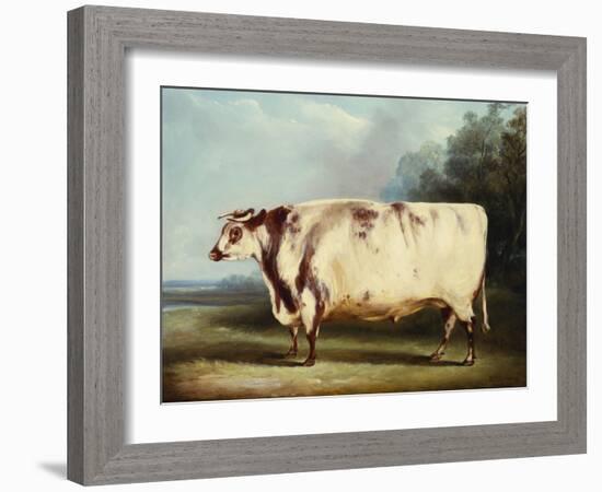 A Prize Bull-William Henry Davis-Framed Giclee Print