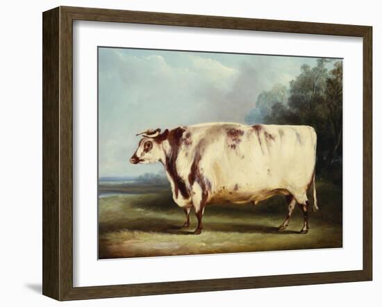 A Prize Bull-William Henry Davis-Framed Giclee Print