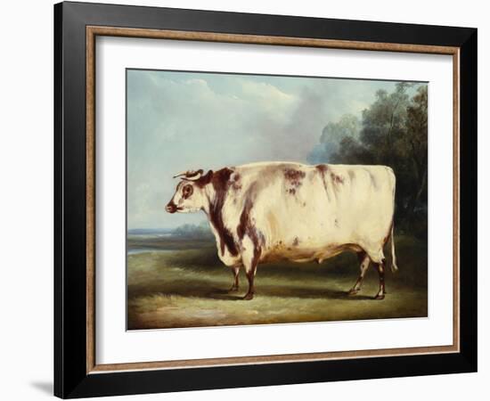 A Prize Bull-William Henry Davis-Framed Giclee Print