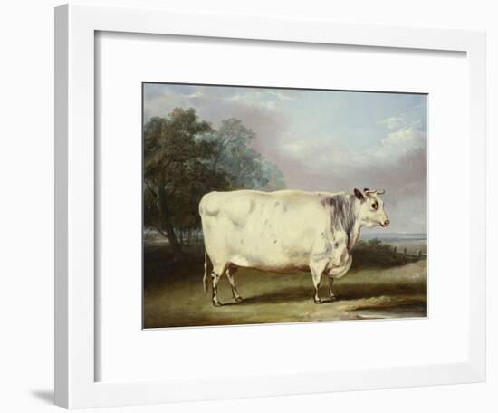 A Prize Cow-William Henry Davis-Framed Giclee Print