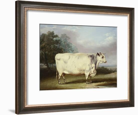 A Prize Cow-William Henry Davis-Framed Giclee Print