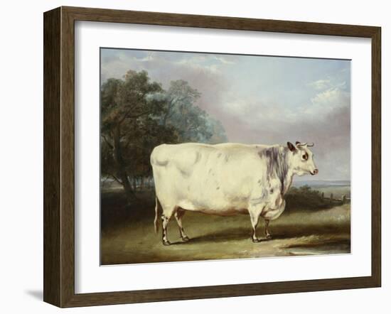 A Prize Cow-William Henry Davis-Framed Giclee Print