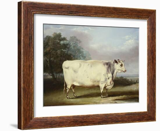 A Prize Cow-William Henry Davis-Framed Giclee Print