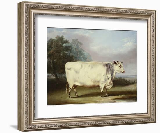 A Prize Cow-William Henry Davis-Framed Giclee Print