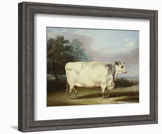 A Prize Cow-William Henry Davis-Framed Giclee Print