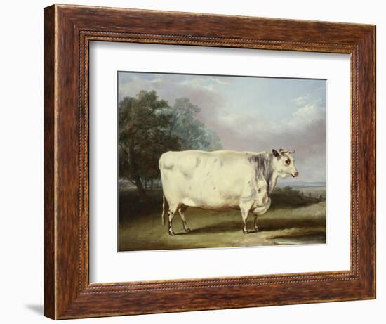A Prize Cow-William Henry Davis-Framed Giclee Print