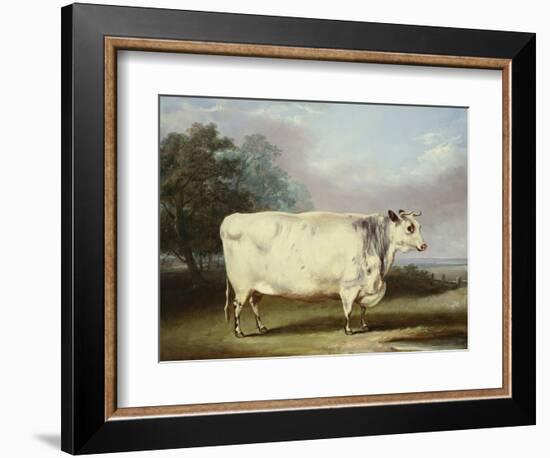 A Prize Cow-William Henry Davis-Framed Giclee Print