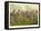 A Prize Fight-Henry Thomas Alken-Framed Premier Image Canvas