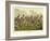 A Prize Fight-Henry Thomas Alken-Framed Giclee Print