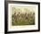 A Prize Fight-Henry Thomas Alken-Framed Giclee Print