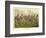 A Prize Fight-Henry Thomas Alken-Framed Giclee Print