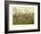 A Prize Fight-Henry Thomas Alken-Framed Giclee Print