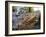 A Procession of Buddhist Nuns Make Their Way Through the Temples of Angkor, Cambodia, Indochina-Andrew Mcconnell-Framed Photographic Print