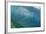 A profusion of baitfish underwater on Sebayur Island, Komodo Nat'l Park, Flores Sea, Indonesia-Michael Nolan-Framed Photographic Print