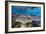 A profusion of hard and soft corals on Sebayur Island, Komodo Nat'l Park, Flores Sea, Indonesia-Michael Nolan-Framed Photographic Print