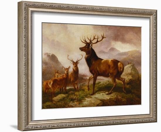 A Proud Stag-Samuel John Carter-Framed Giclee Print