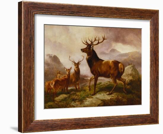 A Proud Stag-Samuel John Carter-Framed Giclee Print