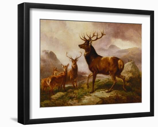 A Proud Stag-Samuel John Carter-Framed Giclee Print