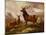 A Proud Stag-Samuel John Carter-Mounted Giclee Print