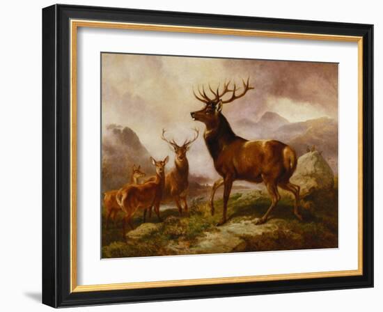 A Proud Stag-Samuel John Carter-Framed Giclee Print