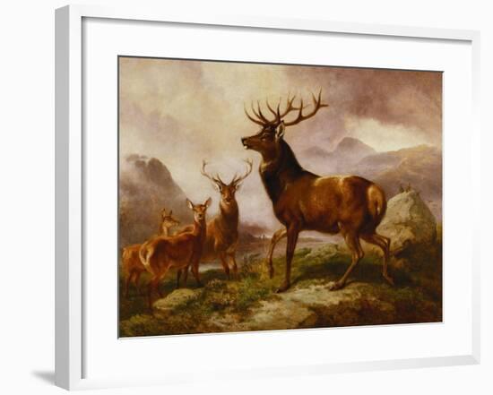 A Proud Stag-Samuel John Carter-Framed Giclee Print