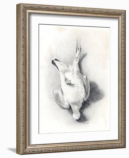 A Ptarmigan, 1898-99-Edward Adrian Wilson-Framed Giclee Print