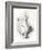 A Ptarmigan, 1898-99-Edward Adrian Wilson-Framed Giclee Print