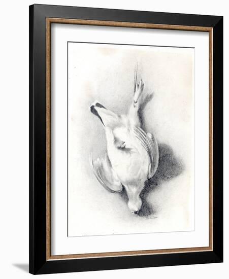 A Ptarmigan, 1898-99-Edward Adrian Wilson-Framed Giclee Print