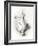 A Ptarmigan, 1898-99-Edward Adrian Wilson-Framed Giclee Print