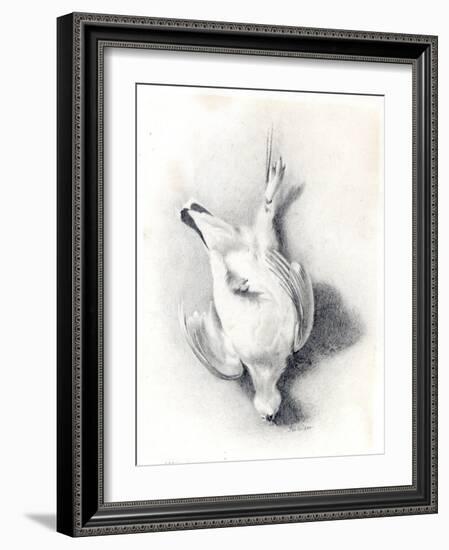 A Ptarmigan, 1898-99-Edward Adrian Wilson-Framed Giclee Print