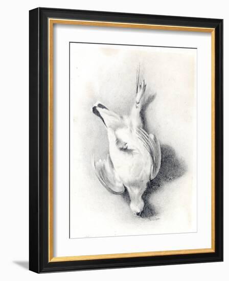 A Ptarmigan, 1898-99-Edward Adrian Wilson-Framed Giclee Print