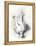 A Ptarmigan, 1898-99-Edward Adrian Wilson-Framed Premier Image Canvas