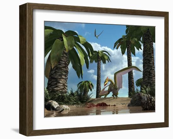 A Pterosaur Flying Reptile Lands Next to Some Carrion-Stocktrek Images-Framed Photographic Print