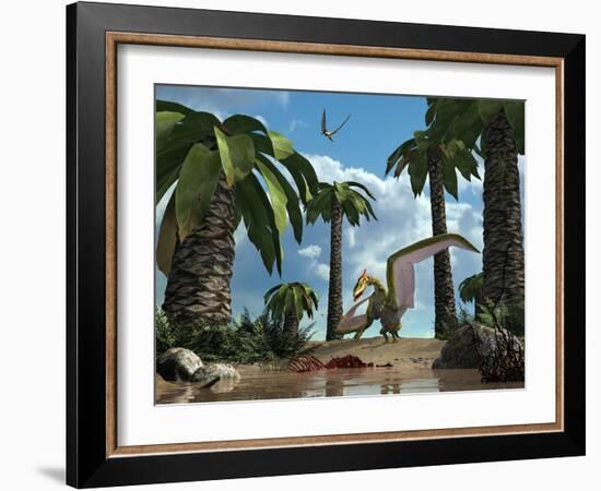 A Pterosaur Flying Reptile Lands Next to Some Carrion-Stocktrek Images-Framed Photographic Print