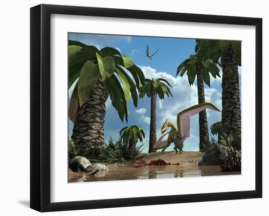 A Pterosaur Flying Reptile Lands Next to Some Carrion-Stocktrek Images-Framed Photographic Print