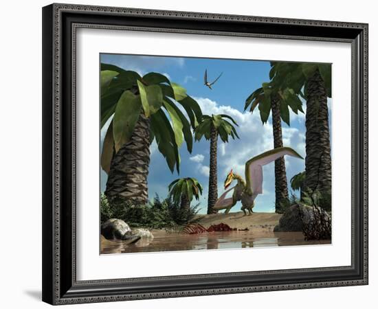 A Pterosaur Flying Reptile Lands Next to Some Carrion-Stocktrek Images-Framed Photographic Print