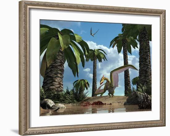 A Pterosaur Flying Reptile Lands Next to Some Carrion-Stocktrek Images-Framed Photographic Print