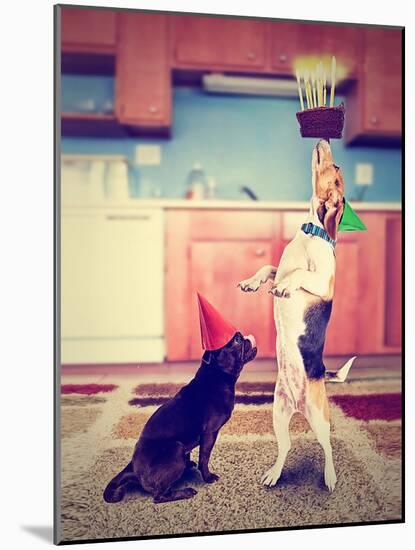 A Pug and a Beagle with Birthday Cake-graphicphoto-Mounted Photographic Print