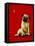 A Pug and a Kiss-Will Bullas-Framed Premier Image Canvas