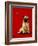 A Pug and a Kiss-Will Bullas-Framed Giclee Print