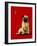 A Pug and a Kiss-Will Bullas-Framed Giclee Print