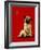 A Pug and a Kiss-Will Bullas-Framed Giclee Print