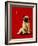 A Pug and a Kiss-Will Bullas-Framed Giclee Print