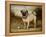 A Pug in Court-Porter Design-Framed Premier Image Canvas