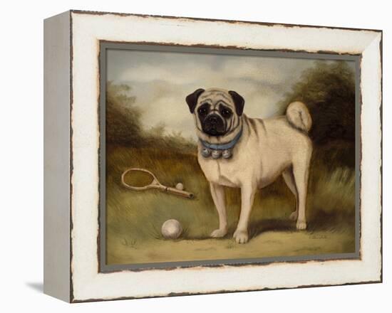 A Pug in Court-Porter Design-Framed Premier Image Canvas