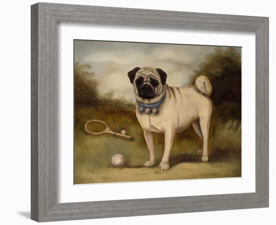 A Pug in Court-Porter Design-Framed Giclee Print