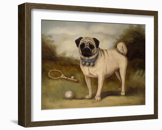 A Pug in Court-Porter Design-Framed Giclee Print