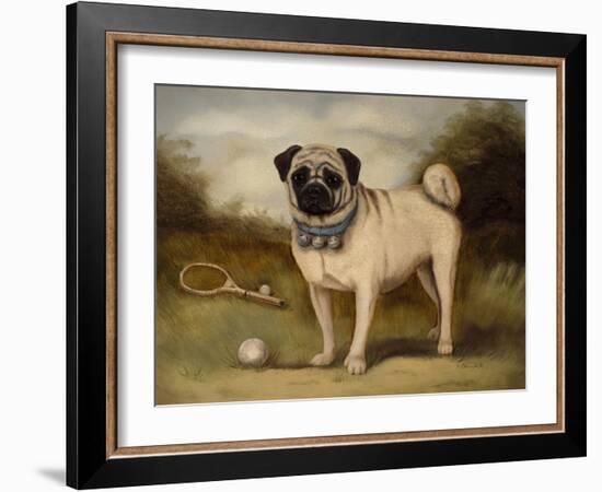 A Pug in Court-Porter Design-Framed Giclee Print