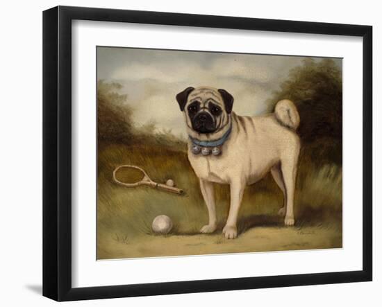 A Pug in Court-Porter Design-Framed Giclee Print